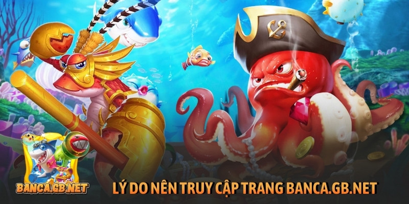 Lý do nên truy cập trang toyxl.nl
